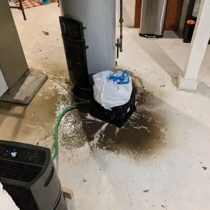 Sewage Backup Cleanup Service in Lewis County, MO